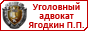 Опытный уголовный адвокат. Контакты на сайте.